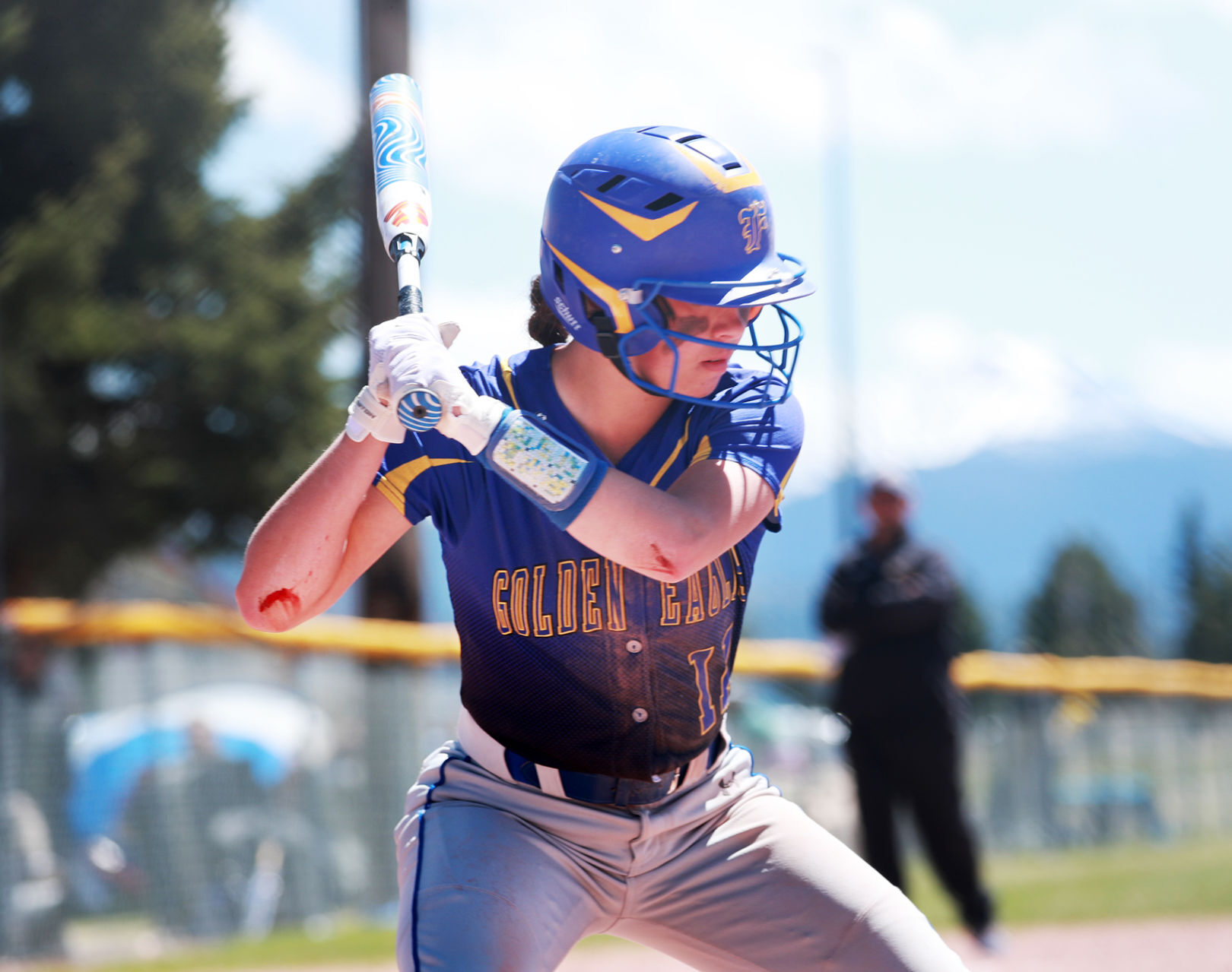 Fergus at state softball